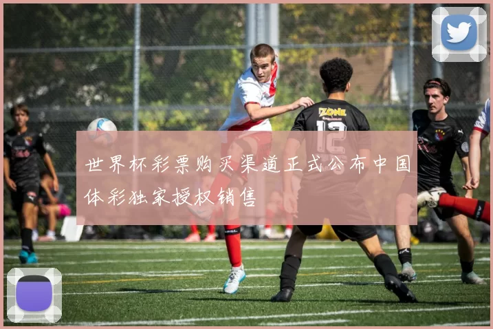 世界杯彩票购买渠道正式公布中国体彩独家授权销售